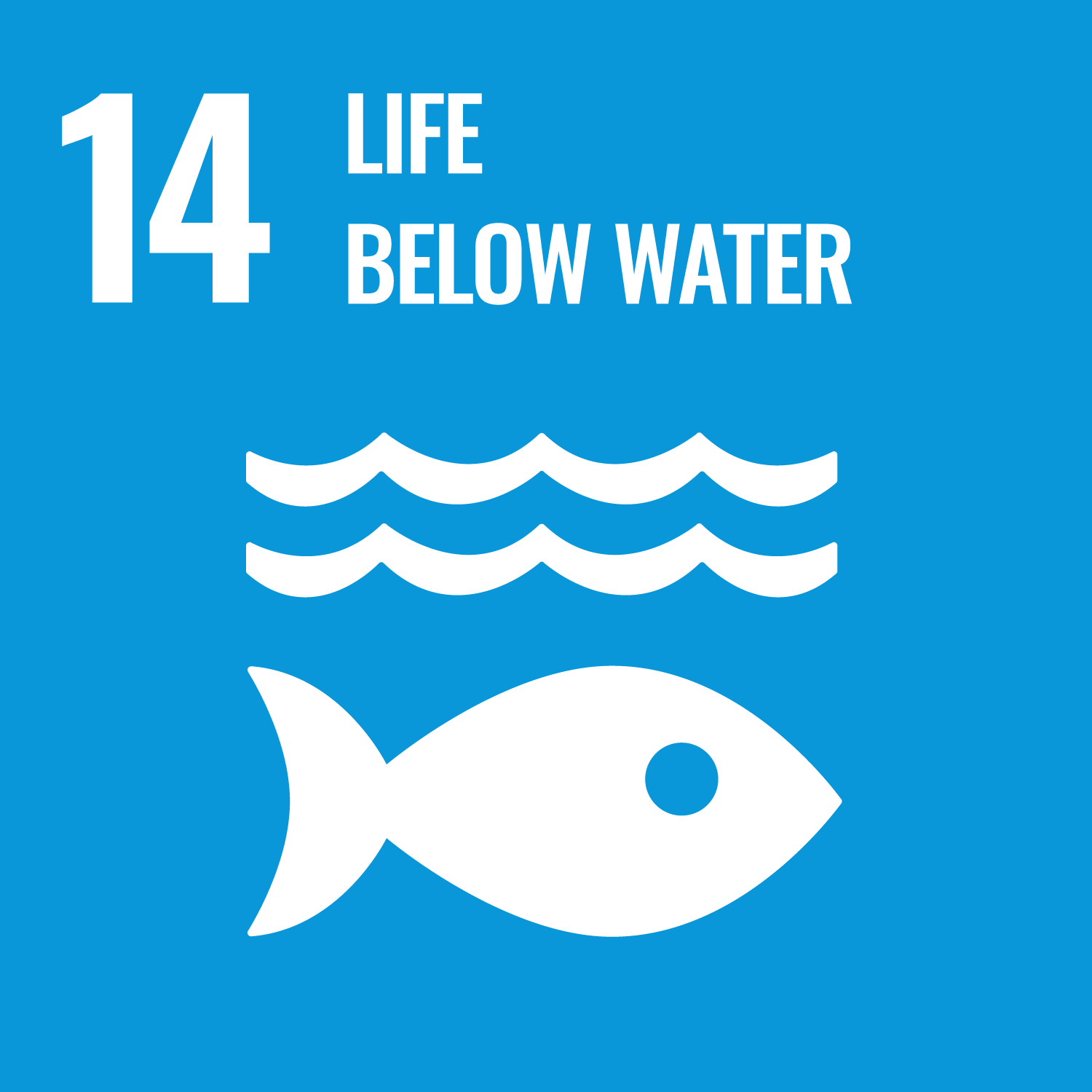 SDG goals icon 14