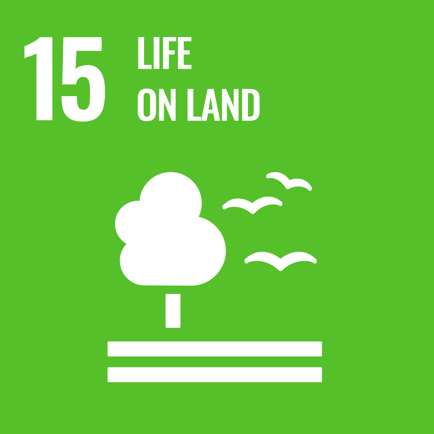 SDG goals icon 15