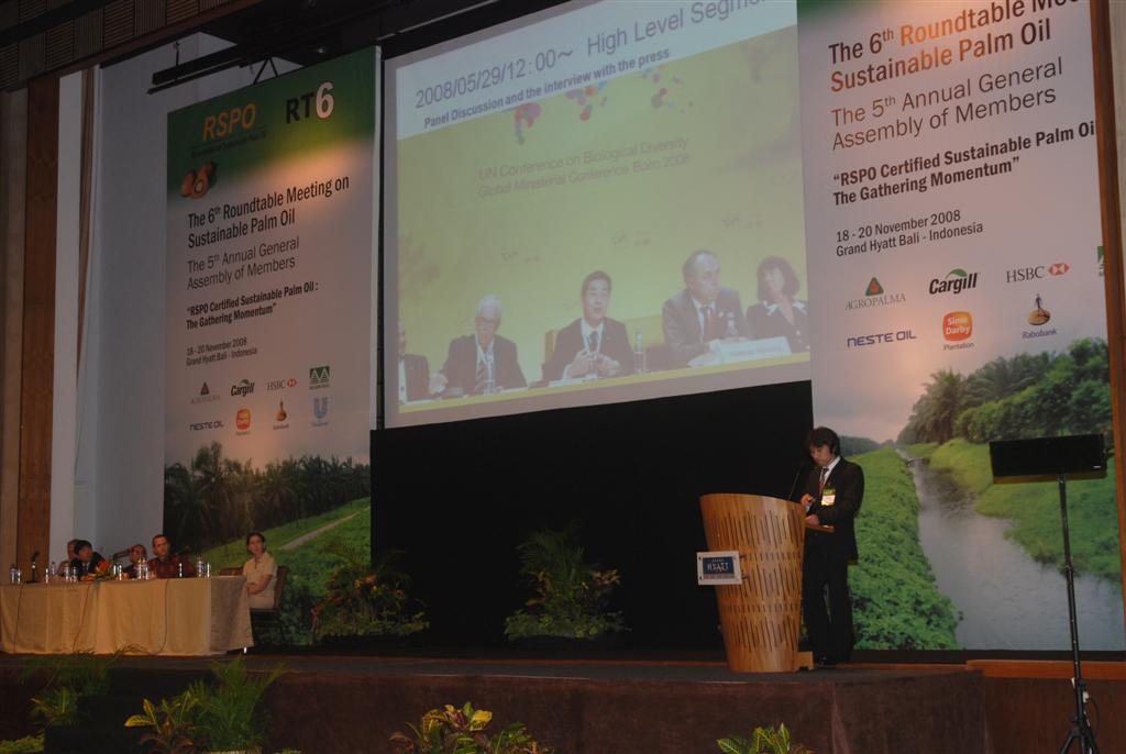 Participation in the 6th roundtable meeting on Sustainable Palm Oil.