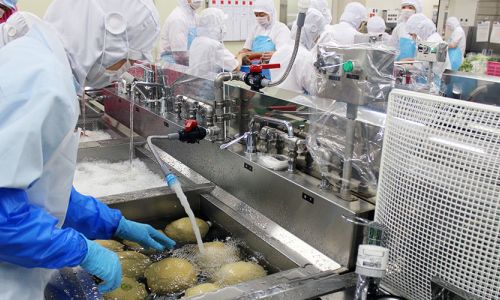 Renewal of the Sanistar Website